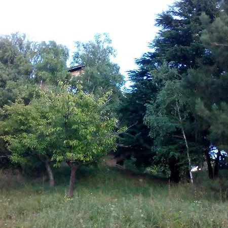 Vidmar 3*