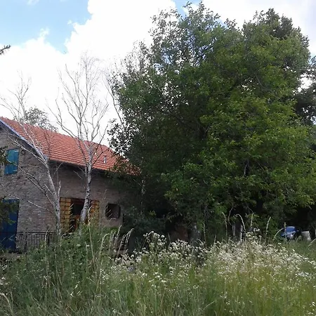 Guest house Vidmar 3*