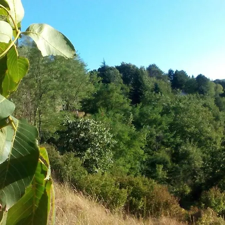 Vidmar